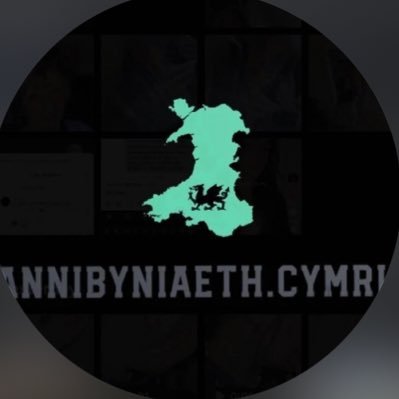 Annibyniaeth200's profile picture. Annibyniaeth