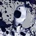 ShadowsLine245X (@shadowsline245x) Twitter profile photo ShadowsLine245X (@shadowsline245x) Twitter profile photo