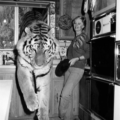 iamTIGR's profile picture. 𝓙𝓾𝓼𝓽 𝓫𝓮 𝓣𝔀𝓮𝓮𝓽𝓲𝓷𝓰 | 𝓓𝓶 𝓯𝓸𝓻 𝓝𝓸𝓽𝓲𝓼