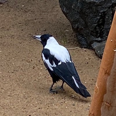 AmeliaH10138572's profile picture. 