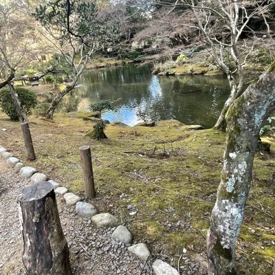 tusad00000's profile picture. 