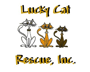 Lucky Cat Rescue, Inc. is a non-profit organization dedicated to helping cats and kittens find their forever homes. 

More information @ luckycatrescue.com