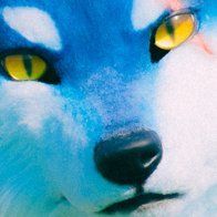 kro 🐺/🪡@TrianonCreation
owner account @dracroLaki