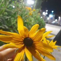 Mohammadi (@ya_mahdi5655) 's Twitter Profile