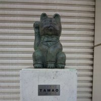 TAMAO (@4m4so7ydbq46349) 's Twitter Profile