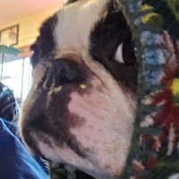 🇺🇲Deplorable D 🇺🇸 (@emptystep) 's Twitter Profile