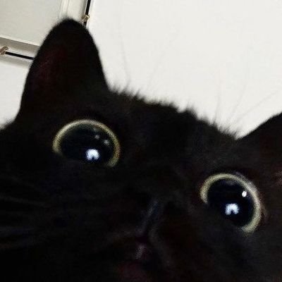 Chinnnnnnchichi's profile picture. 