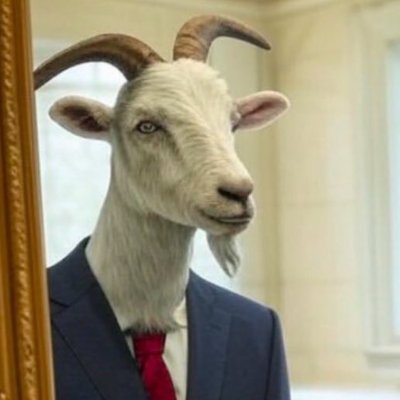 ISLANDBARBZZ's profile picture. Only love here