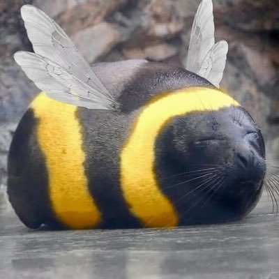 腐みん
