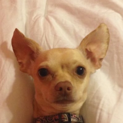 EmmaWilder96's profile picture.
