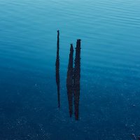 ゆう (@orangetabby2503) 's Twitter Profile