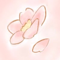 ことり (@kotori_5100) 's Twitter Profile