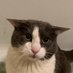 Meow :3 (@l274505) Twitter profile photo Meow :3 (@l274505) Twitter profile photo