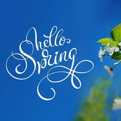 Pavasaris2025's profile picture. 