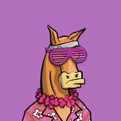 hors_nads's profile picture. 𝐖𝐞 𝐚𝐫𝐞 𝐨𝐧 @monad_xyz