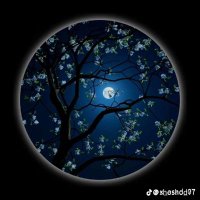 ابو سهام (@shamabw803) Twitter profile photo