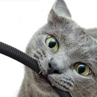 SouthronScrutinizer (@freqboxx) 's Twitter Profile Photo SouthronScrutinizer (@freqboxx) 's Twitter Profile Photo