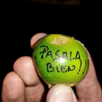 Vicente Ruiz Perez (@vicenteruizper5) 's Twitter Profile