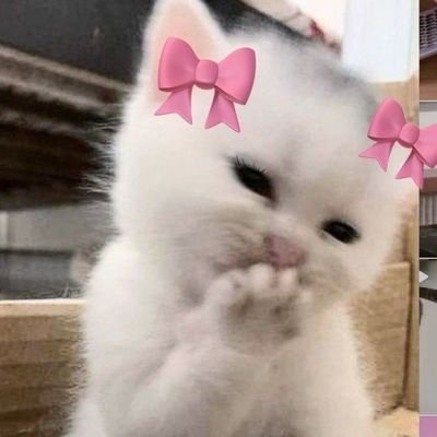 im_FanTic's profile picture. سوم‌ شخص.👰🏻‍♂️🎀💅🏼
تا قیامت دل من گریه میخواد.