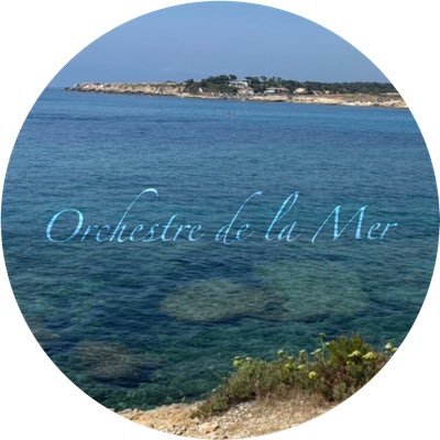 Orchestre de la Mer (海オケ)と申します。 ドビュッシーの海を演奏したくて2025年に立ち上げた団体です。 2025年8月9日(土)昼公演 サンパール荒川 大ホール 指揮:松村詩史 デュカス/魔法使いの弟子 ドビュッシー/海 ショーソン/交響曲変ロ長調 ご来場ありがとうございました✨