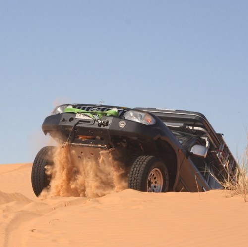 marconose's profile picture. 