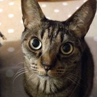 ace23Lv (@love_ace23) 's Twitter Profile Photo