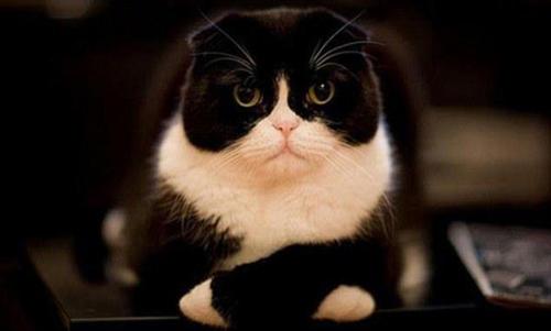 ALILOVESCK's profile picture. 