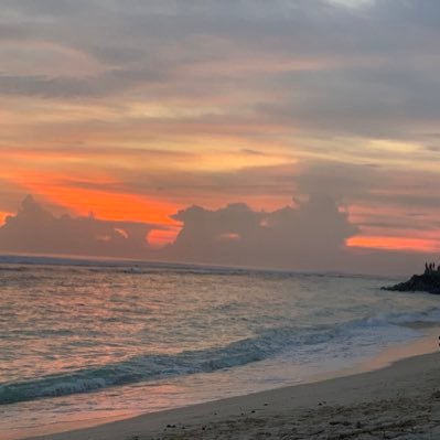 ionknowwhoami's profile picture. 