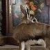 🦌May (@the_roze2) Twitter profile photo 🦌May (@the_roze2) Twitter profile photo