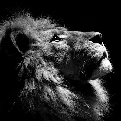 Datast0rm21's profile picture. 