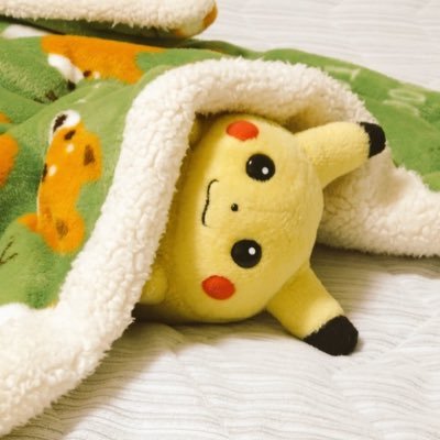 鳳さんのプロフィール画像
