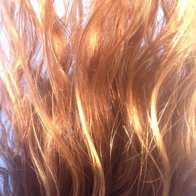 USAF veteran, 2A carrying, redheaded Italian, momma 🇺🇸 only here for the MAGA and CHAOS! !! NO DM’s or at your own risk! 😈 let my red hair be your warning