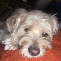 BUB (@bigbub91) 's Twitter Profile