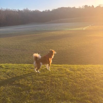 jasharris69's profile picture. Have fantastic a son & briliiant twin daughters. Enjoy golf & football. @withdeanyouthfc - Chairman