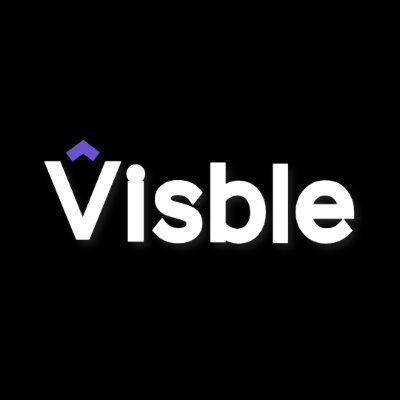 Visble.ai Profile