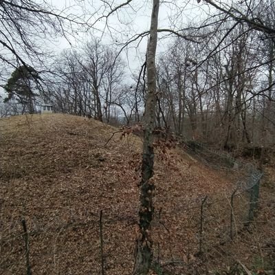 NicoClaux's profile picture. 