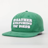 Watching the Birds 🦅 (@ratherbewatchin) 's Twitter Profile