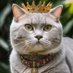 Better Be A Cat (@kukurigu2) Twitter profile photo Better Be A Cat (@kukurigu2) Twitter profile photo
