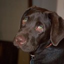 Raghu Singh - @raghusingh1 - Twitter