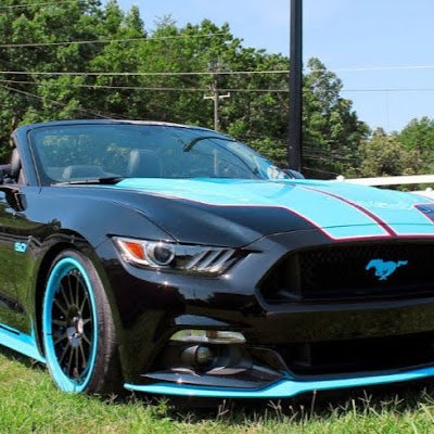 EverGut40142525's profile picture. 