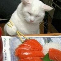 π« (@nylovesalmon) 's Twitter Profile
