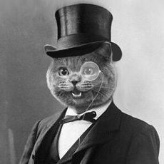 PurrvertXXX420's profile picture. Chronic Gooner 😜 Stoned and Stroking 🤤 Worshiping Porn 🙏 Gooning since Windows 93🪟