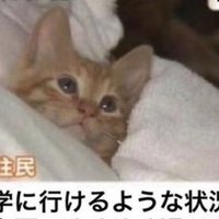 朱雨-しゅう- (@heta_yamichi4) Twitter profile photo