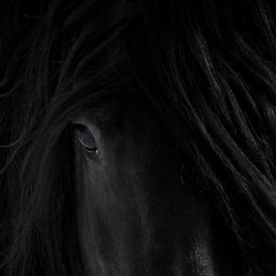 Chris_Tessmer's profile picture. 