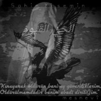 Şahin Yasemin (@sahinyasemin133) 's Twitter Profile Photo Şahin Yasemin (@sahinyasemin133) 's Twitter Profile Photo