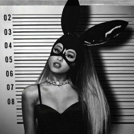 Moonlight is the proof that there will always be light in darkness
- ariana grande