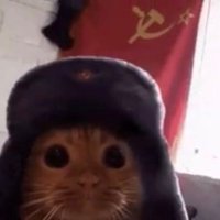 mishreyable (@pspspsppsp) 's Twitter Profile