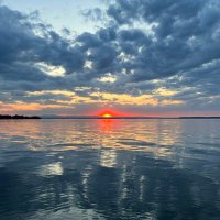TurtleBayJ (@jeremysibold) 's Twitter Profile