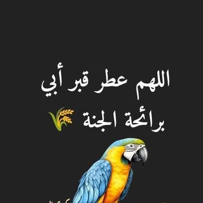jannitjennateZR's profile picture. عاجزة عن العودة كما كنت 🧚‍♀️وفاقده لكيفية البدايه من جديد 🧗‍♀️ هنا قمة الضياع🙇‍♀️ ..!إنها ليست مسألة حظ بل أقدار يعطي اللّه لكل ذي حقٍ حقه ، فالحمد لله ..}.