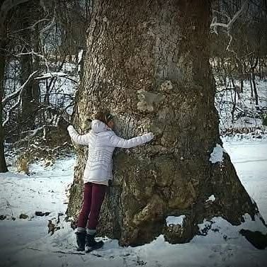 a_bilella's profile picture. patriot, mother, grandmother and supporter of president Trump.